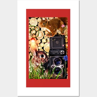 Squirrel and rabbit photographers Posters and Art